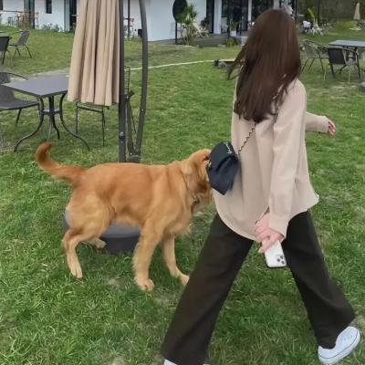 爱情舞台